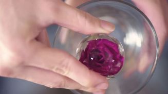 category Bemerkenswert