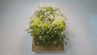 category Bemerkenswert