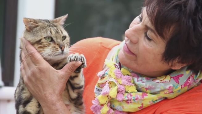 go to Ganz große Tierliebe: Die 80 Miezen der Katzen-Lady