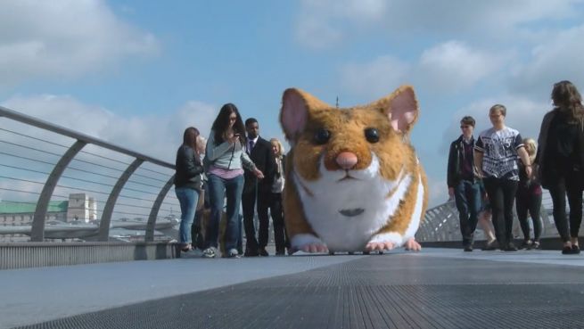 go to Vorsicht, Nager! Riesen-Hamster macht London unsicher